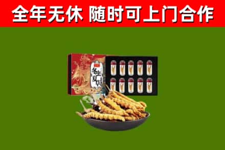 游仙回收冬虫夏草价格
